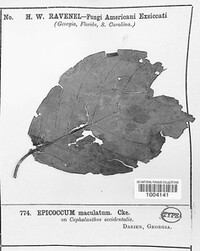 Image Associated With the Occurence
